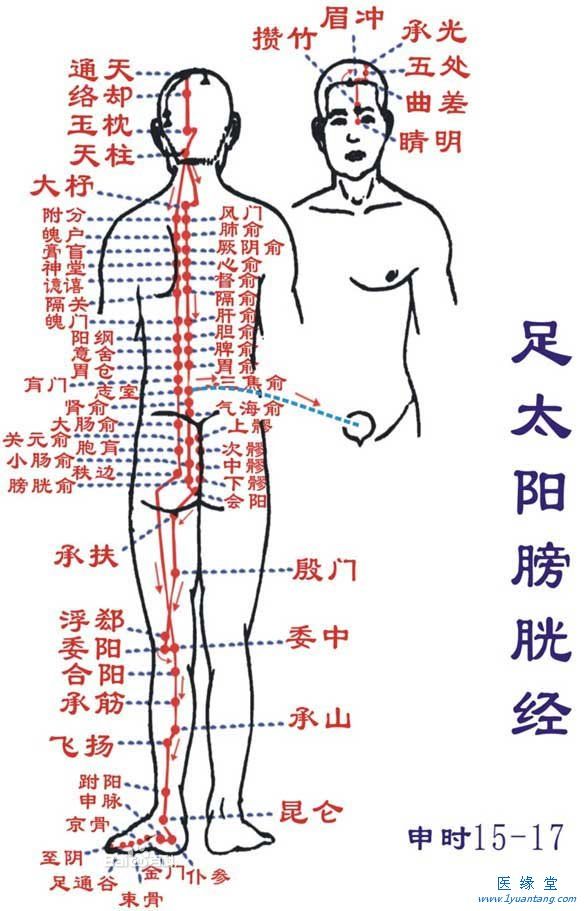 如何利用足太阳膀胱经“生命香蕉视频在线免费”提精神，增加健康指数